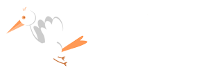 Cegonhitas Kids Store